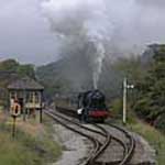 90733 gets the token at Damems Loop