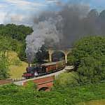 53809 at Darnholme