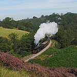 92214 at Darnholme