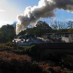 76079 heading for Goathland at Darnholme