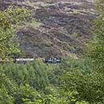 On the Ffestiniog Railway. A glimpse of Earl of Merioneth above Tan y Bwlch